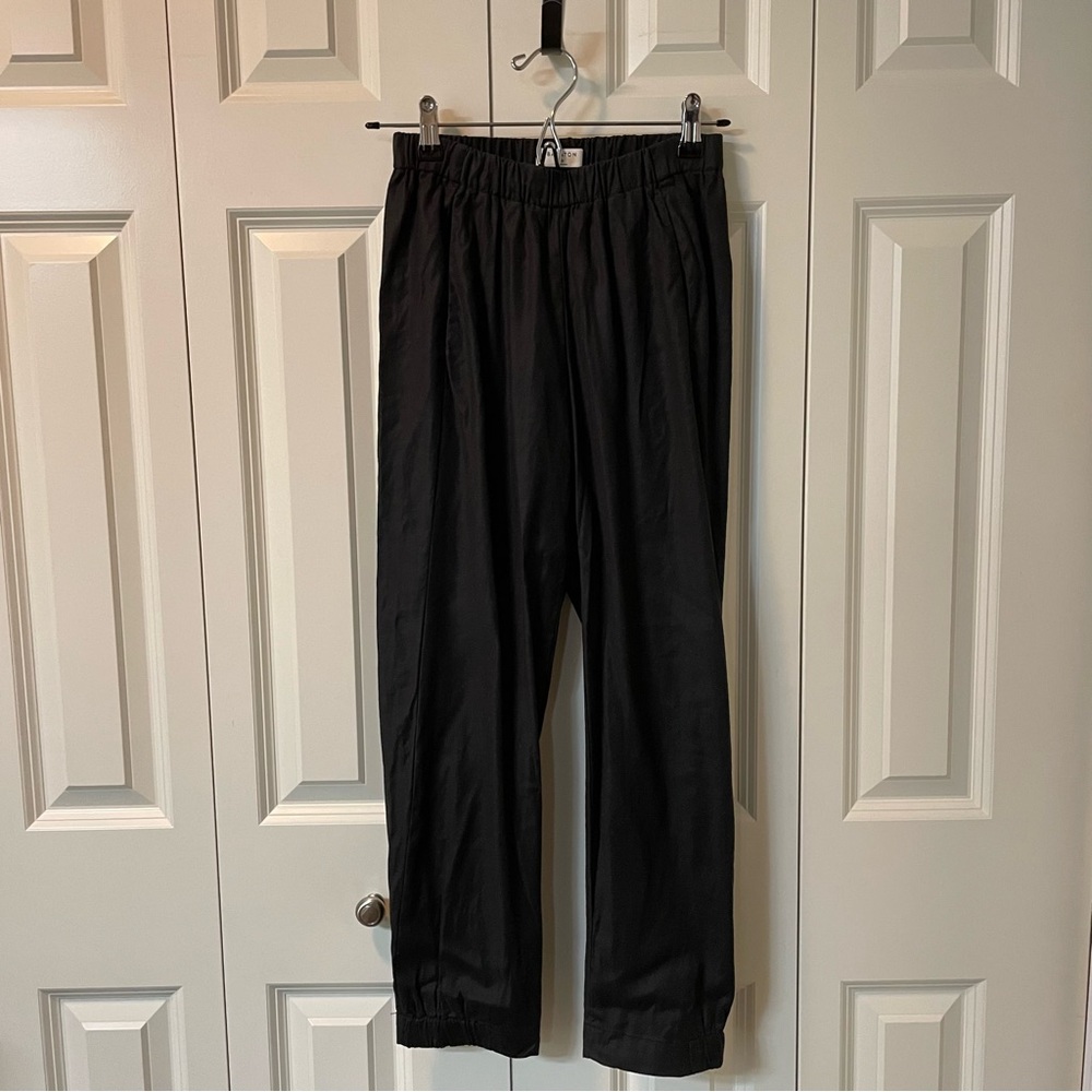 Aritzia New Dexter Pant